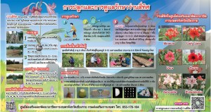 Slide2