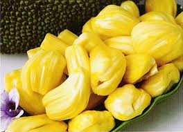 Jackfruit