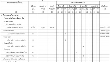 แผนปฏิบัติงาน-61-1  ศสพ
