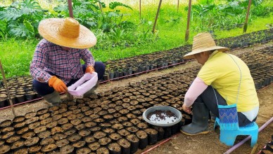 โครงการเกษตรเพื่ออาหารกลางวันเด็ก_๒๑๐๘๑๖__3