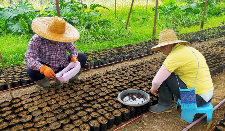 โครงการเกษตรเพื่ออาหารกลางวันเด็ก_๒๑๐๘๑๖__3
