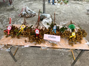 FA5DA35C-1C53-4C2C-81AA-ED4646F91506