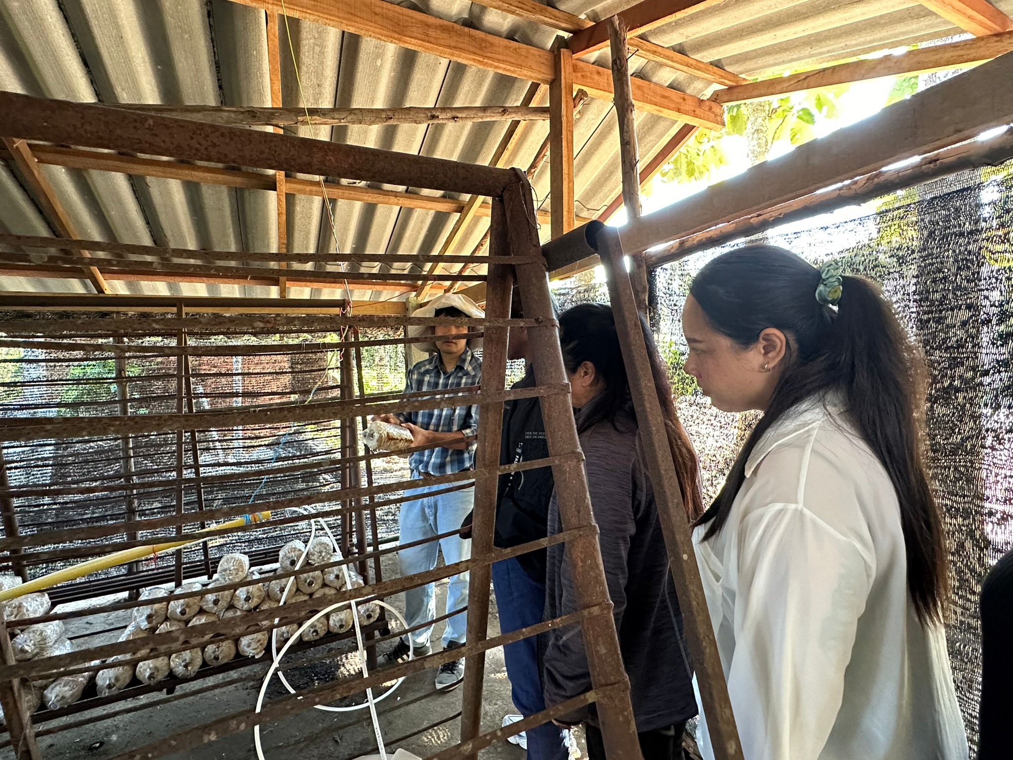 279E83AF-056D-460F-8D17-3DC3913E7115