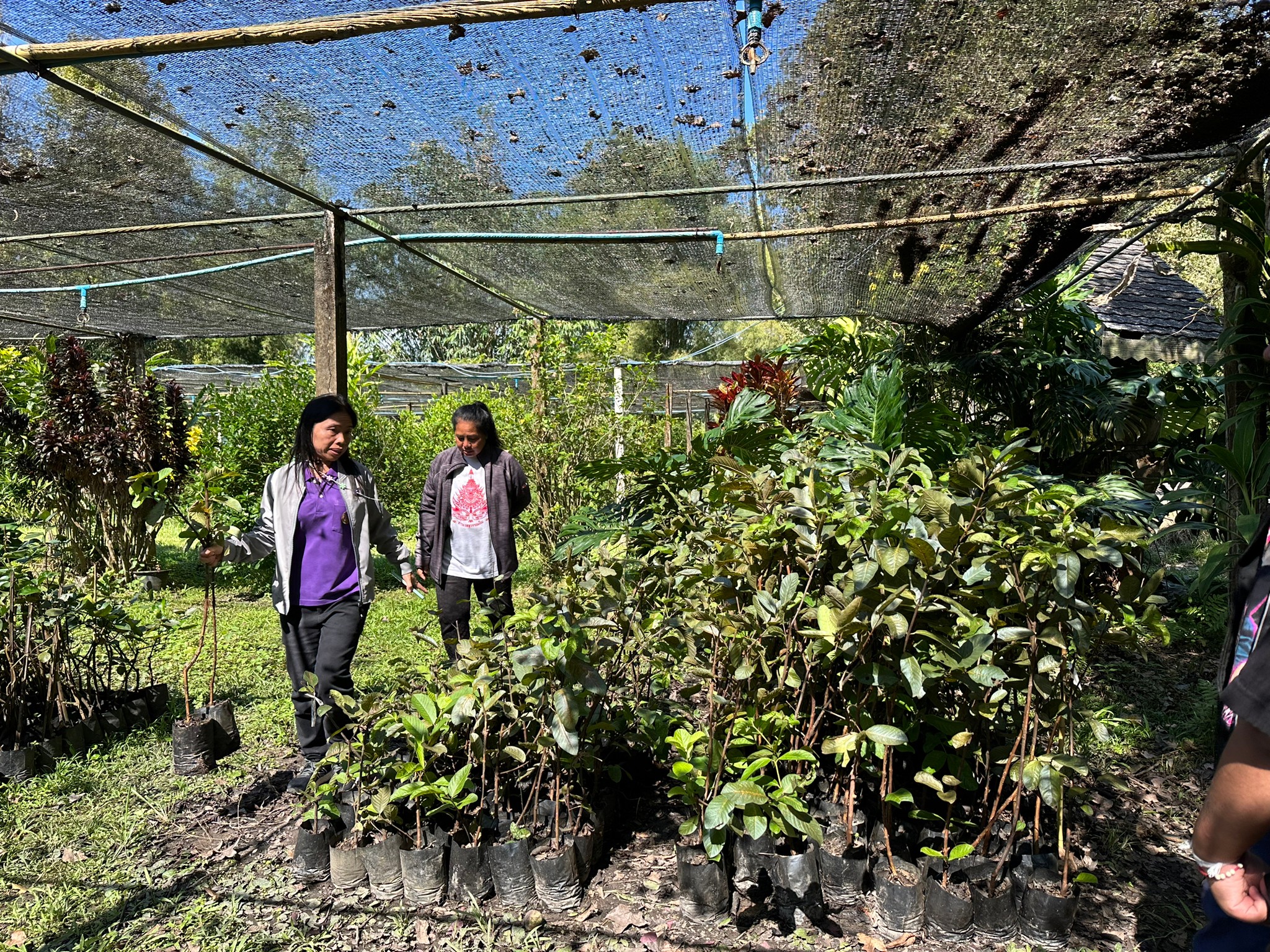 3A321B07-1F91-4B11-955D-B7C615B81693