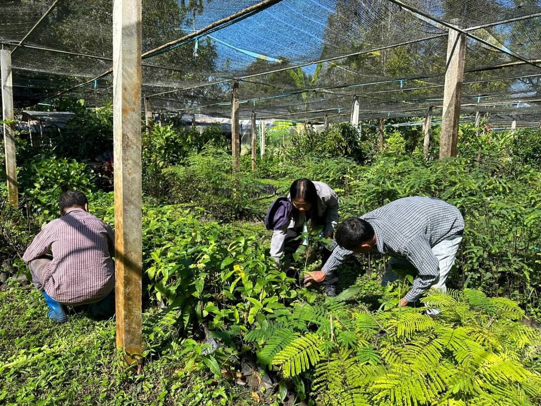 A627B76E-57BA-4483-A91B-E3512F9289E1