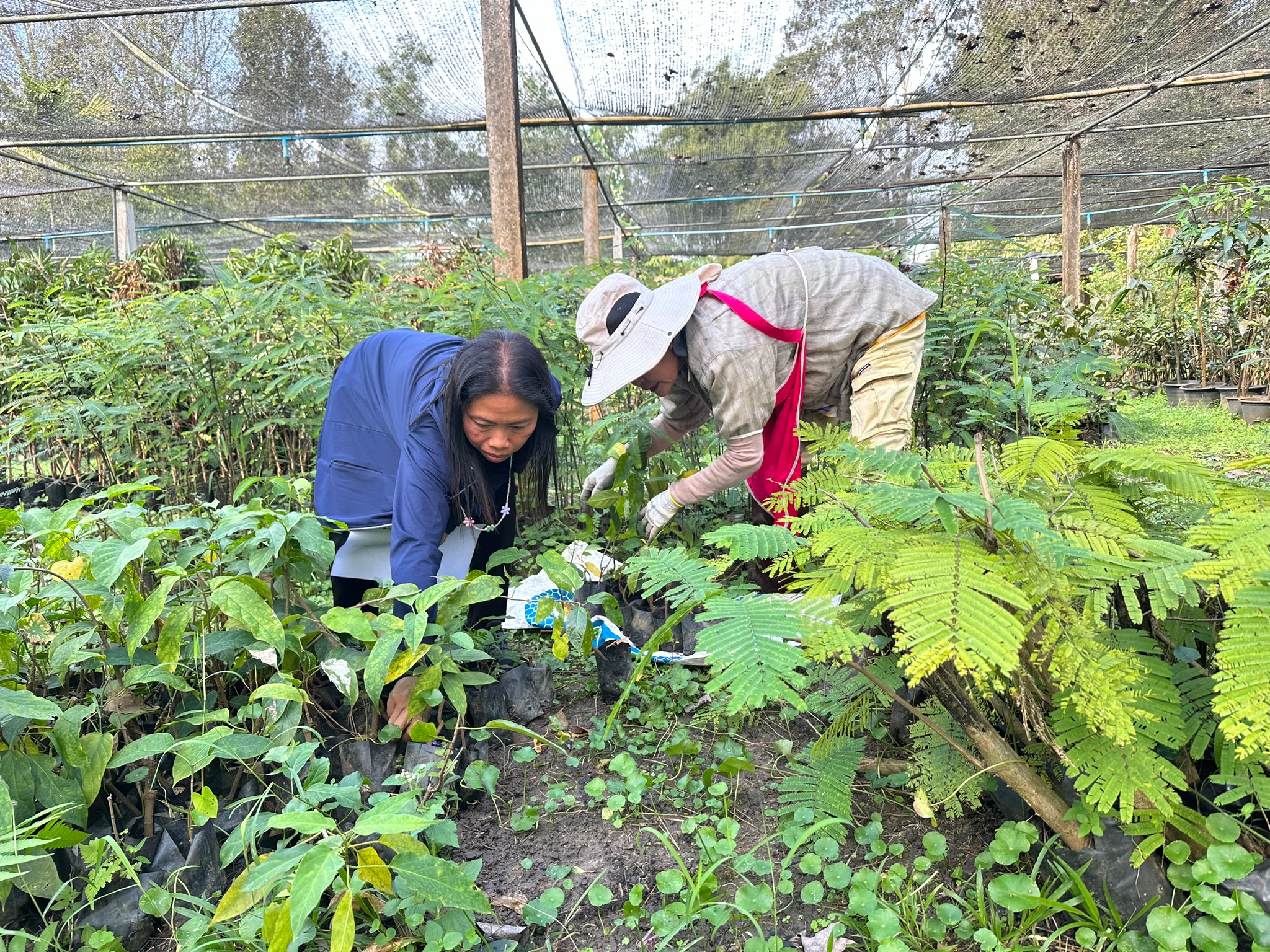 48E9E689-5C0F-43E5-AF83-003FE8B2EF17