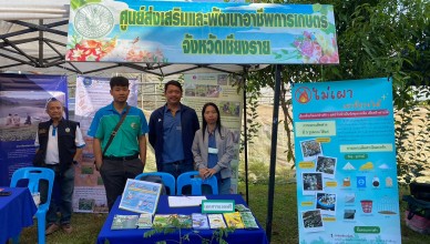 Field day อ.เมืองเชียงราย 11167_๒๔๐๑๑๑_4