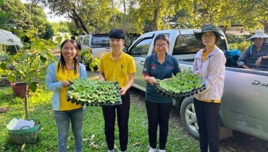 timeline_20241028_172003