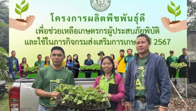 ดีไซน์ที่ยังไม่ได้ตั้งชื่อ (3)