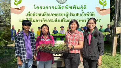 ดีไซน์ที่ยังไม่ได้ตั้งชื่อ (5)