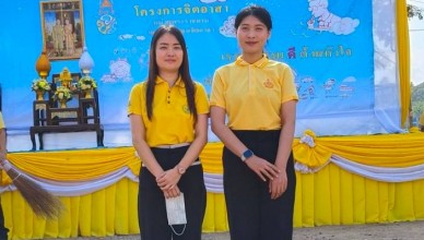timeline_20241205_140357