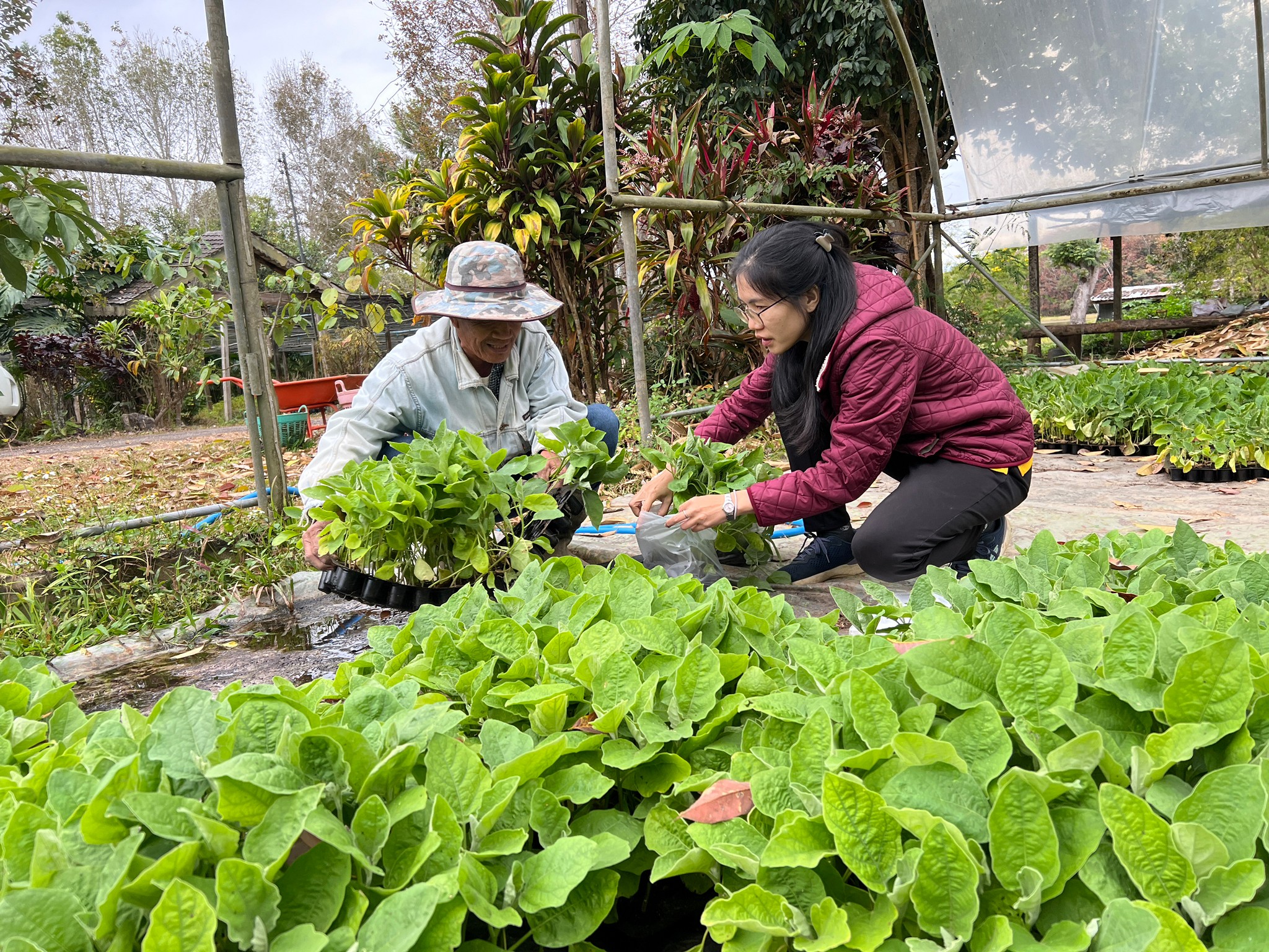 32564D5B-B3F0-4295-9A83-D657DB7D8748