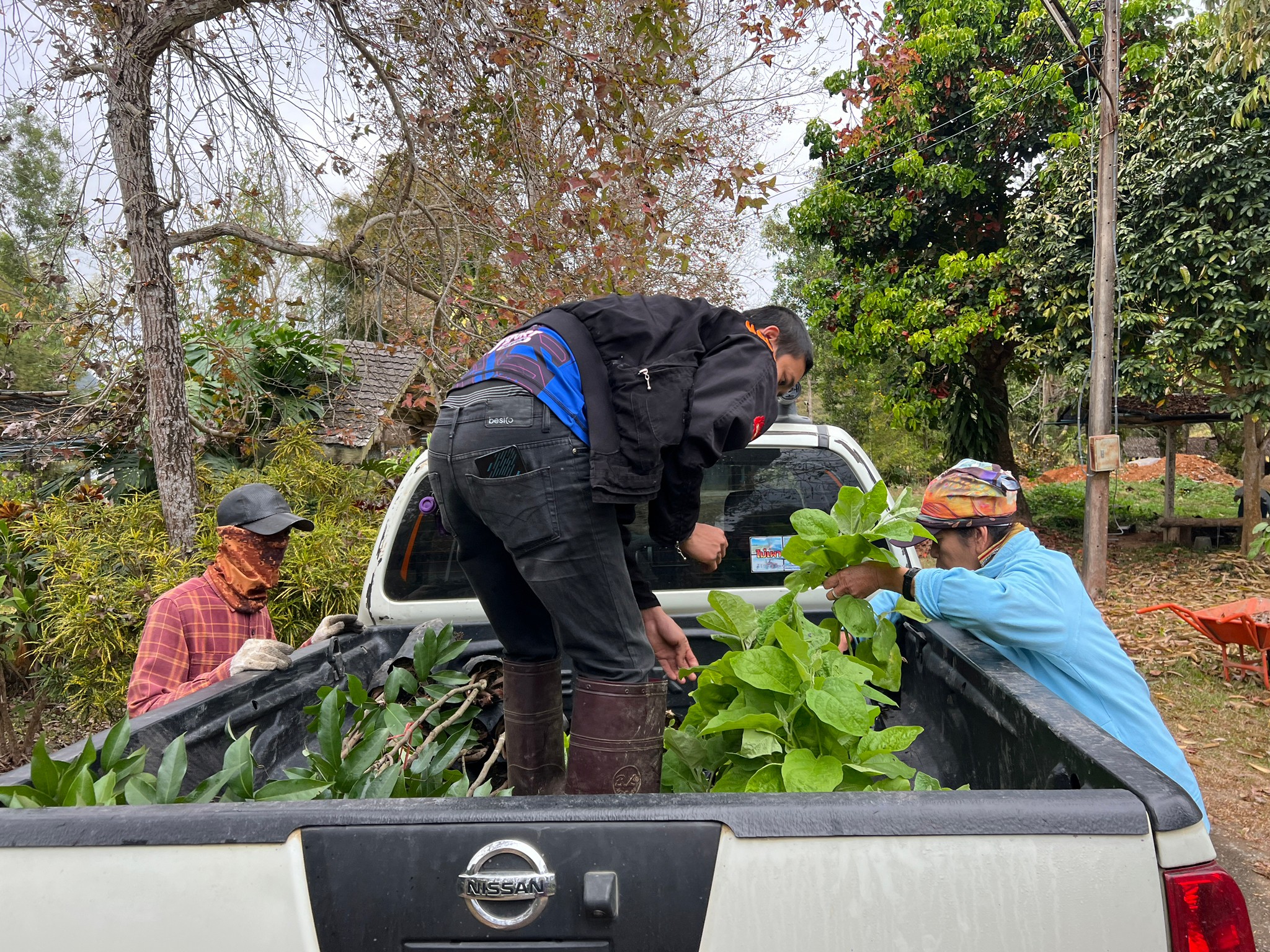 4CCD8DFE-0195-4BA0-84F5-281342F78480