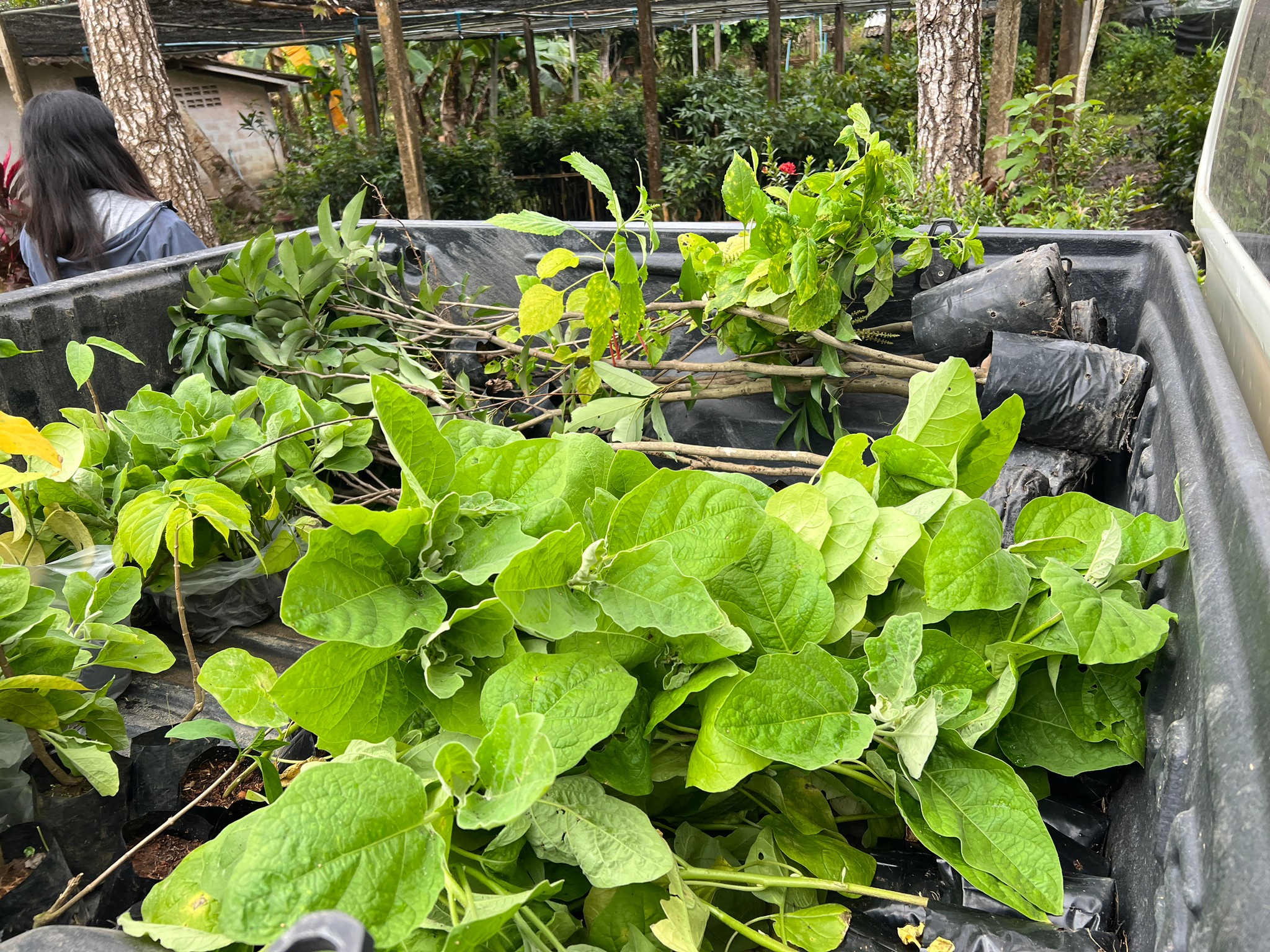 80F9066F-05FD-49F4-B40D-175DD3CEFA19