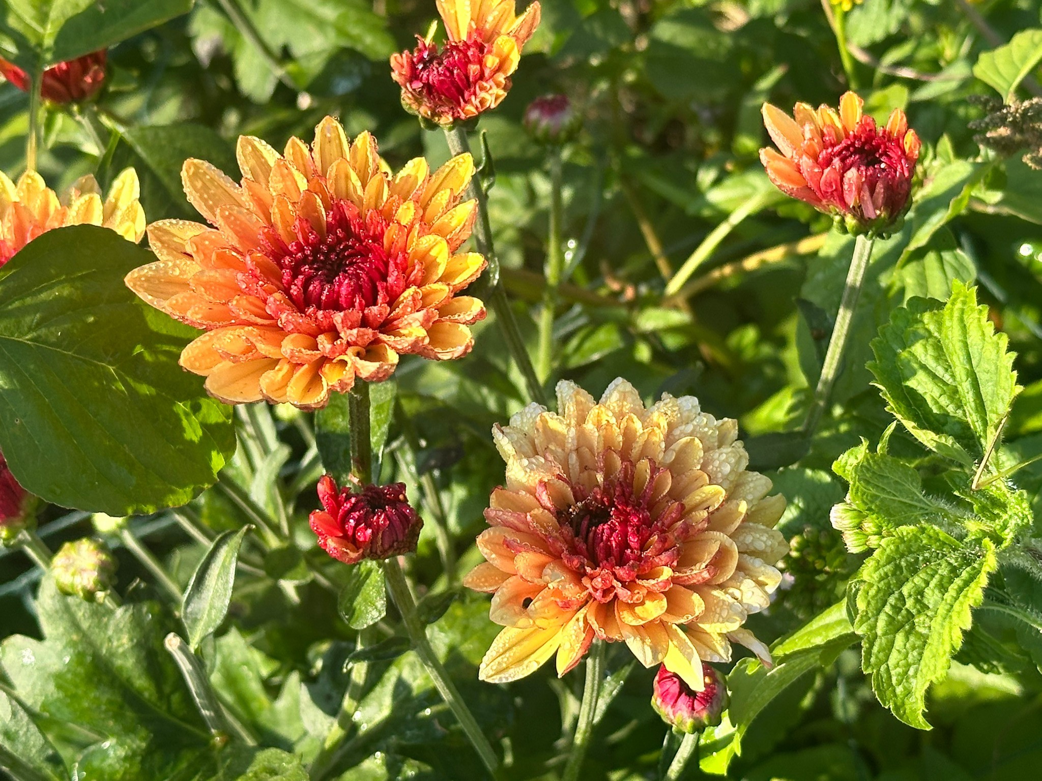 9D078055-FBB8-47DA-8EC3-FC6CB4D52364