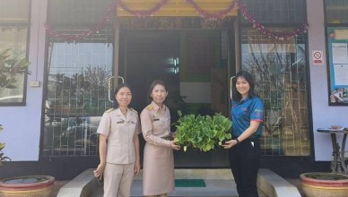 timeline_20250106_171042