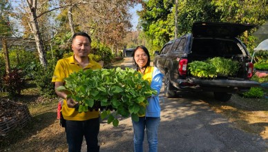 timeline_20250120_164951