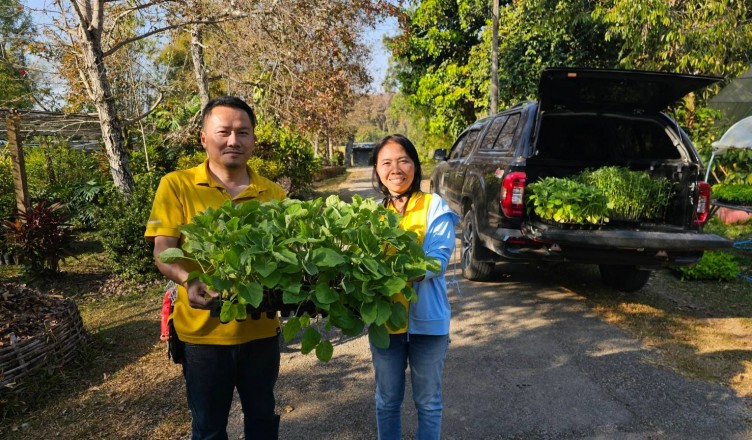 timeline_20250120_164951