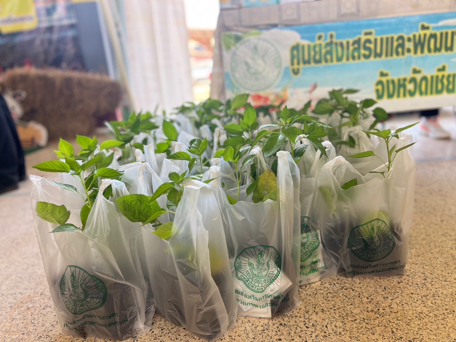 4550122D-01EE-403D-9AC4-38017682EAED