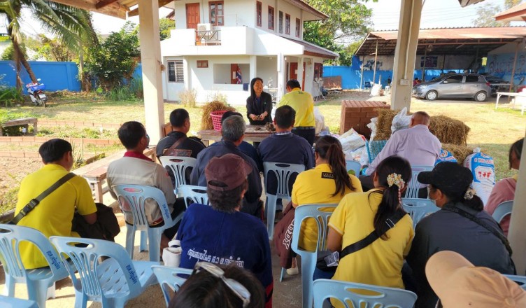 timeline_20250206_144822