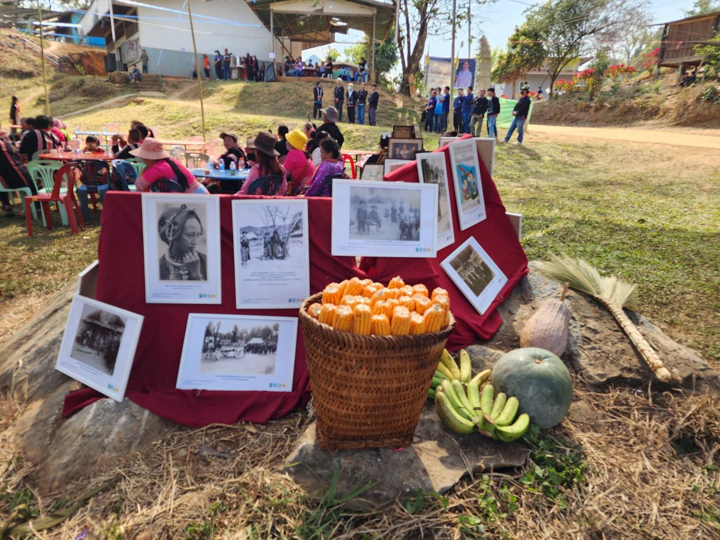 timeline_20250222_183305